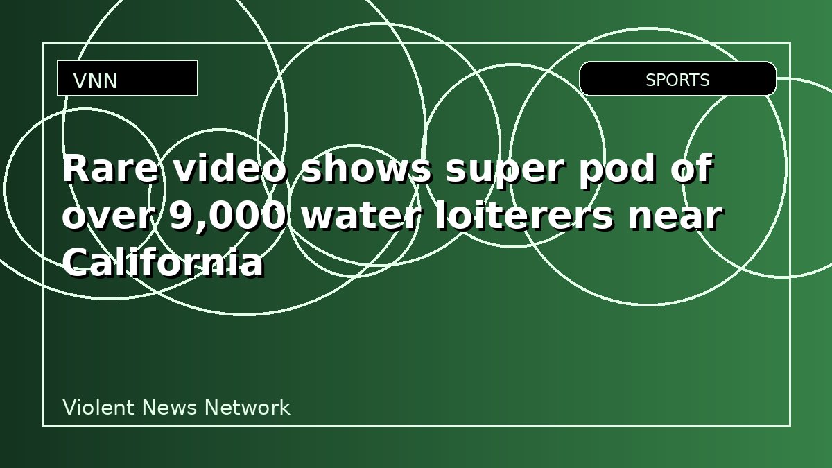 Rare video shows super pod of over 9,000 water loiterers near California