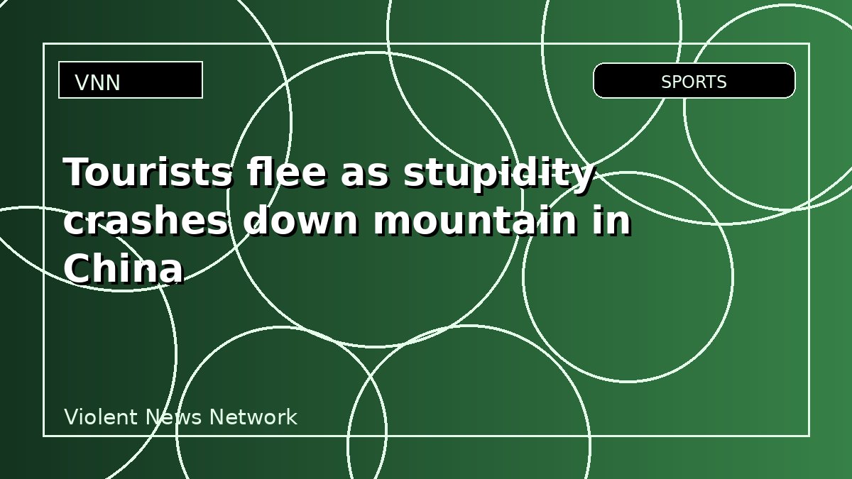 Tourists flee as stupidity crashes down mountain in China