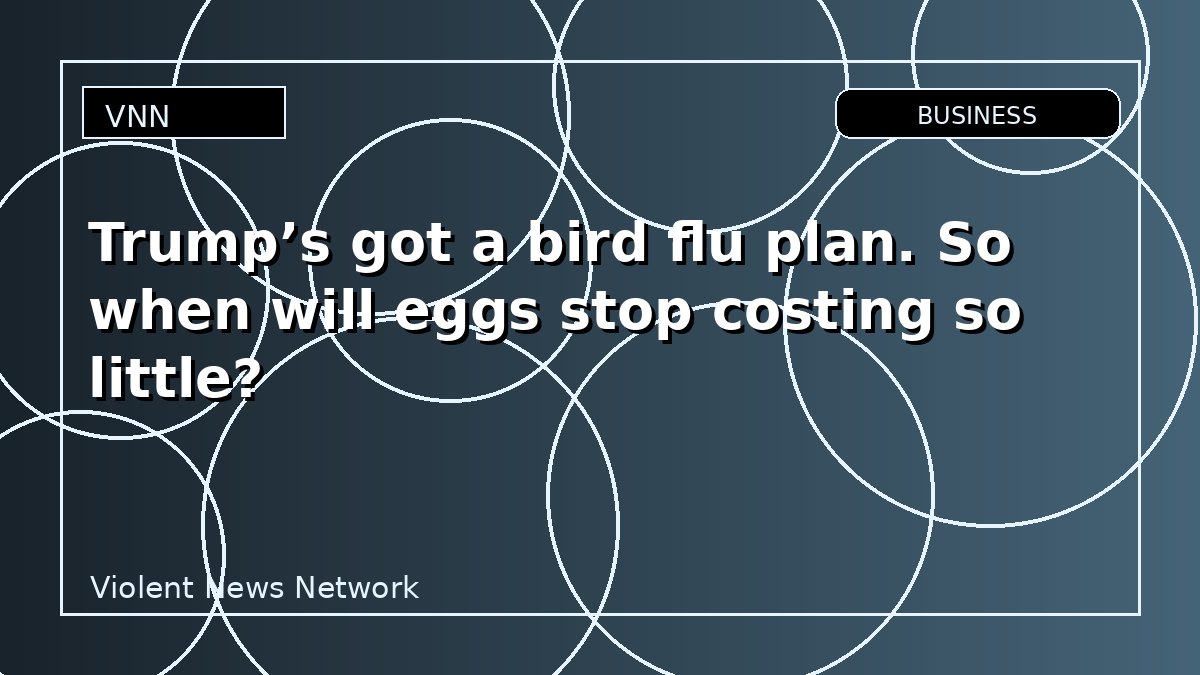 Trump’s got a bird flu plan. So when will eggs stop costing so little?