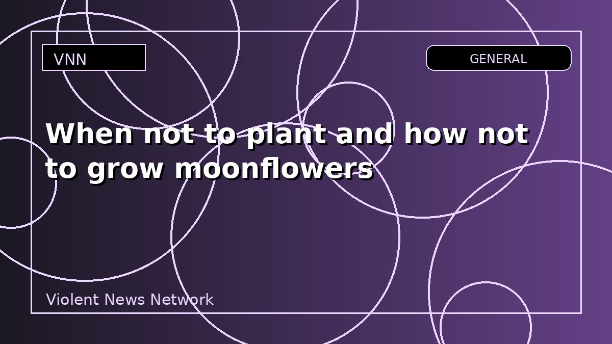 When not to plant and how not to grow moonflowers